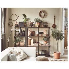 a living room filled with furniture and lots of plants on top of bookshelves