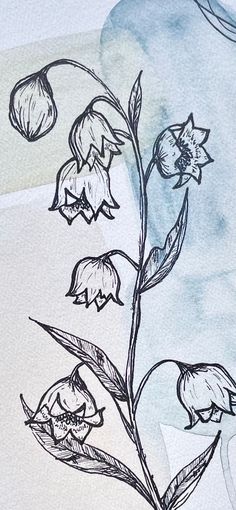 a drawing of a plant with flowers on it