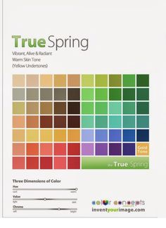 the true spring color book is open and ready to be used on your computer or tablet