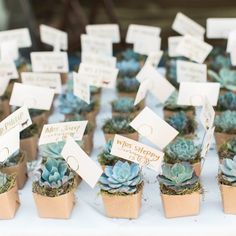 Set of 3 | Assorted Fake Succulents in Pot | 8 Assorted Spiky Crassula Artificial Plants with Pots#whtbkgd Classy Wedding Favors, Wedding Favor Gift Tags, Frugal Wedding, Creative Wedding Favors, Inexpensive Wedding Favors, Wedding Favors And Gifts, Deco Champetre, Elegant Wedding Favors, Wedding Gift Tags