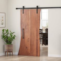 an open sliding door in a living room with potted plant on the floor next to it