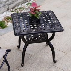 a small table with a potted plant on it sitting next to a lawn chair