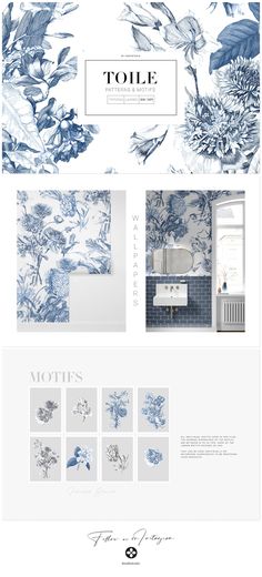 the website design for toile is shown in blue and white colors, with an image of