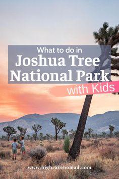 joshua tree national park with kids