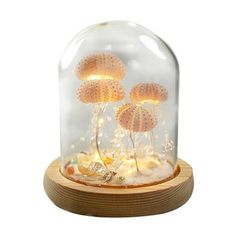 a glass dome with three mushrooms inside on a wooden base and lights in the bottom