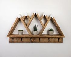 a wooden shelf with three plants on it