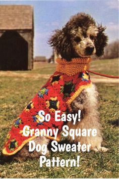 a dog wearing a crocheted granny's scarf with the words so easy granny square dog sweater pattern