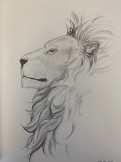 a drawing of a lion's head with its mane blowing in the wind and his eyes closed