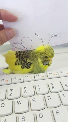 a small bird sitting on top of a keyboard next to a hand holding a piece of paper