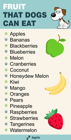 an info sheet with different fruits and vegetables on it, including apples, bananas, blueberries, melon, cranberrys, kiwi