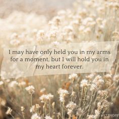 a field filled with lots of white flowers and a quote that reads, may have only held you in my arms for a moment, but i will hold you in my heart forever