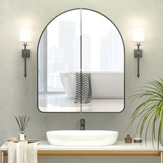 a bathroom sink sitting under a mirror next to a potted plant and two lights