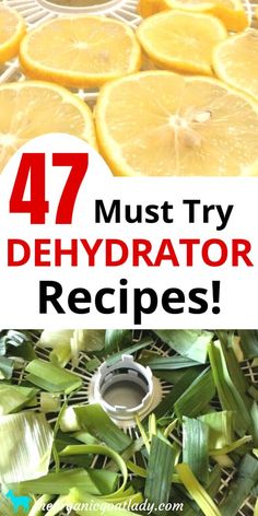 lemons and leaves with the words 47 must try dehydraator recipes on top