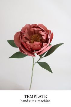 an image of a flower that is in the middle of a website page for online templates