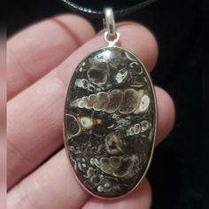 Turitella Fossil Pendant Set In Solid 925 Sterling Silver. Includes A Black Cord Necklace. Beautiful Pendant! Genuine Natural Stone. Black Cord Necklace, Rock Necklace, Cord Necklace, Pendant Set, Solid 925 Sterling Silver, Natural Stone, Fossil, Womens Jewelry Necklace, Natural Stones