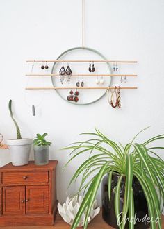 there is a potted plant next to a wall mounted jewelry rack with earrings on it