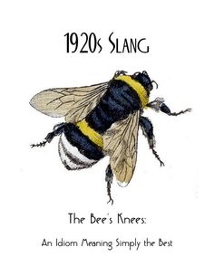 the bee's knees an idiom / meaning simply the best by 1920slang