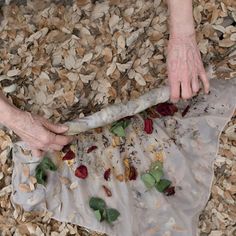 two hands reaching for something on top of a pile of mulch and wood chips