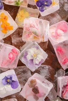 some ice cubes with flowers on them