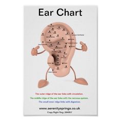 Pressure Points Chart, Piercings Chart, Acupuncture Points Chart, Ear Reflexology, Ear Seeds, Therapy Business, Ear Piercings Chart, Piercing Chart, Hand Reflexology