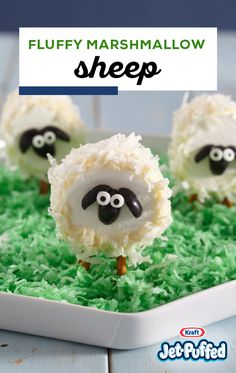 three sheep made out of marshmallows sitting on top of green grass with the words fluffy marshmallow sheep