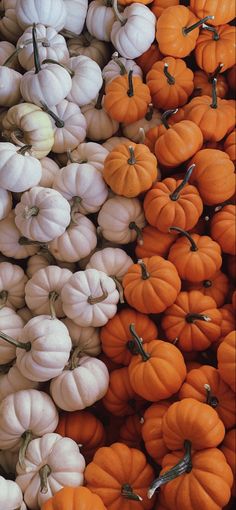 Fall halloween pumpkins aesthetic iphone background from a little Amish Farm. Thanksgiving Iphone Wallpaper, Wallpaper Thanksgiving, Table Decor Thanksgiving, Simple Thanksgiving Table, Fall Backgrounds Iphone, Autumn Phone Wallpaper, Fall Backgrounds, November Wallpaper, Simple Thanksgiving