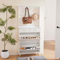 a white shoe rack with shoes on it next to a potted plant and door