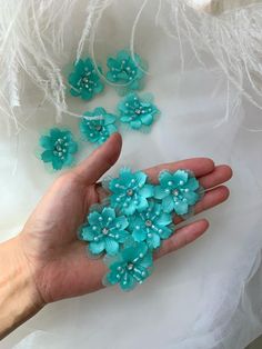 a person's hand holding several small blue flowers