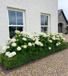 a house with white flowers in front of it and graveled walkway leading up to the door