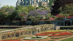 an elaborate garden in front of a castle with lots of flowers growing on the ground