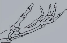 an image of a skeleton hand with bones on it's fingers and the lower limbs