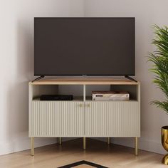 an entertainment center with a television on top of it next to a potted plant