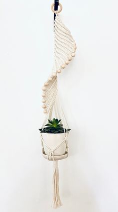 a macrame hanging planter with a succulent in it