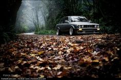 a car parked on the side of a road surrounded by leaves