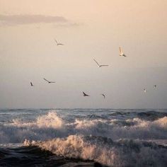 seagulls flying over the ocean waves at sunset