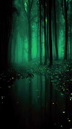 magical forest aesthetic#fairy land magical forest#magical forest wallpaper#magical forest background#magical fairy forest#fairy land magical forest aestheticmagical forest aesthetic#fairy land magical forest#magical forest wallpaper#magical forest background#magical fairy forest#fairy land magical forest aestheticemerald forest#green emerald forest aesthetic#emerald green enchanted forest quince#emerald green forest#emerald green forest wedding#emerald green forest aesthetic#emerald green wallp Emerald Dark Aesthetic, Emerald Green Homescreen Aesthetic, Green Dark Forest Aesthetic, Emerald Screensaver, Emerald Green Forest Aesthetic, Emerald Green Aethstetic, Dark Green Forest Background, Dark Green Princess Aesthetic, Blue Green Forest Aesthetic