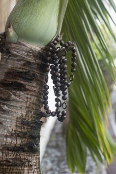 a bunch of black beads hanging from a palm tree's trunk with leaves in the background