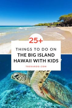 a turtle swimming in the ocean with text overlay reading 25 things to do on the big island hawaii with kids