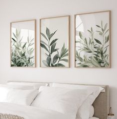 three paintings hang on the wall above a bed in a room with white sheets and pillows