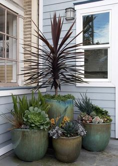 three large potted plants sitting on the side of a house