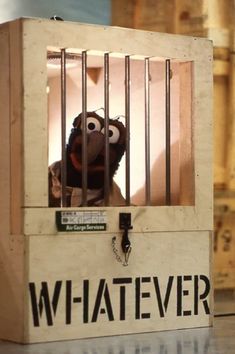 a stuffed animal in a jail cell with the word whatever on it's side