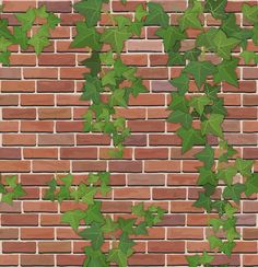 ivy growing on the side of a brick wall - miscellaneous objects / objects clippings