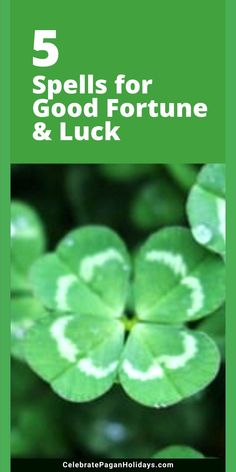 Good luck witches, four leaf clover White Magic Love Spells, Feng Shui Good Luck, Wish Spell, Pagan Holidays, Spells That Actually Work, Good Luck Spells