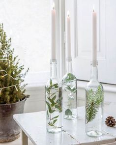 three bottles with plants in them sitting on a table