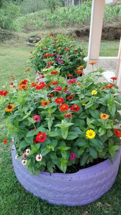 colorful flowers are growing in an old tire planter