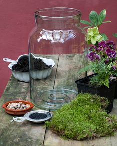 some plants are sitting on a table next to a glass vase and bowls with dirt