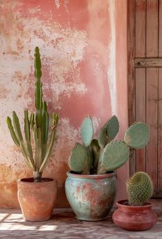 three potted plants sit on a table in front of a pink wall with peeling paint