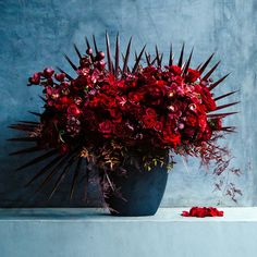 a vase filled with lots of red flowers on top of a table next to a blue wall