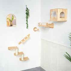 there are three wooden shelves on the wall next to each other and one is holding plants