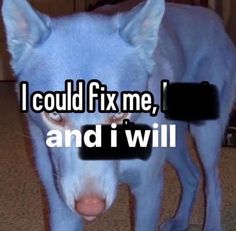 a blue dog with the words i could fix me, and i will